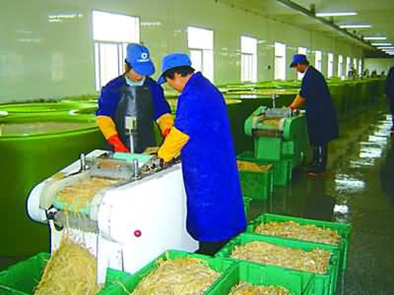 红牡丹农产品选购全攻略:初识优质果实