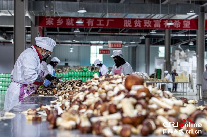 呼玛县农产品加工:传统与创新交织的新篇章