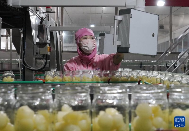 农产品深加工：产业链条上的璀璨明珠